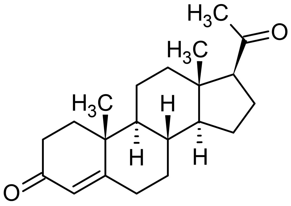 Progesterone, Endogenous progesterone receptor agonist (CAS 57-83-0) (ab141252)